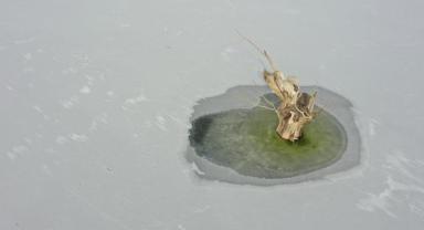 Kars Barajı'nın yüzeyi soğukların etkisiyle buz tuttu