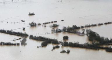 Muğla'da sağanak nedeniyle tarım arazileri sular altında kaldı