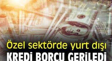 Özel Sektörün Yurt Dışı Kredi Borcu Ekim'de Zirveye Ulaştı!