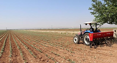 Rusya'nın gübre ihracatında rekor bekleniyor