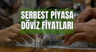 Serbest Piyasada Dolar 35,0090 Liradan güne başladı