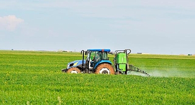 Tarım Kredi, gelecek yıl tohum ve zirai ilaç sektöründeki payını artıracak