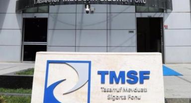 TMSF, 2 şirketi satışa çıkardı