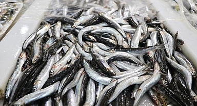 Türkiye'nin 11 aylık hamsi ihracatı 13,5 milyon doları aştı