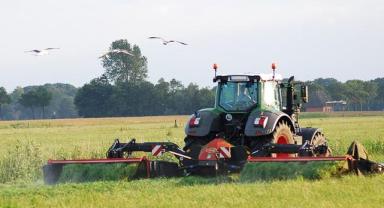 Almanya'da tarım ürünleri üretici fiyatları artmaya devam ediyor