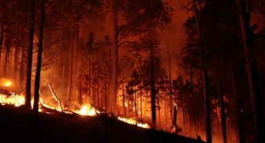 Avustralya'nın Victoria eyaletindeki orman yangınında 65 bin hektar alan zarar gördü