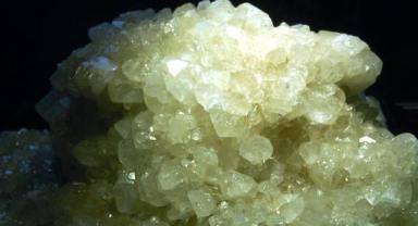 Borda 2024'te 1,3 milyar dolarlık satış rekoru kırıldı