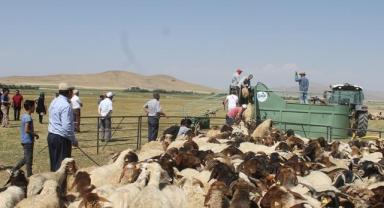 DAP Bölge Kalkınma İdaresi 73 projeye 423 milyon lira destek sağlayacak