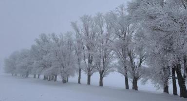 Doğu Karadeniz için kuvvetli kar uyarısı