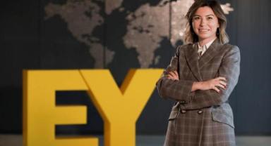 Ernst & Young 2030'a kadar sera gazını yarıya indirecek
