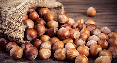 Giresun'da fındık fiyatı haftaya 130 liradan başladı