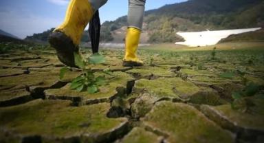 İklim değişikliğinin zeytinciliğe etkisi ve çözüm arayışları İzmir'deki çalıştayda ele alındı