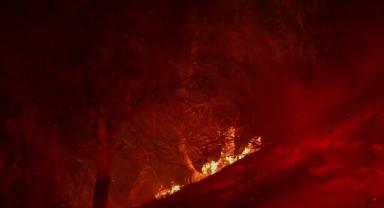 Los Angeles'ta çıkan yeni yangın birkaç saatte 3 bin hektardan fazla alana yayıldı