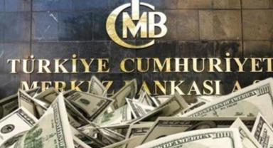 Merkez Bankası Günlük Döviz Kurları, TCMB Dolar Euro...