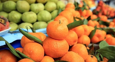 Narenciye ihracatı 2024'te Türkiye'ye 1 milyar 46 milyon 128 bin dolar getirdi