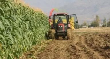 Rusya’nın sebze ve meyve ithalatı 2024’te arttı