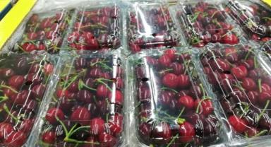 Sebze ihracatında Türkiye'nin lideri Antalya