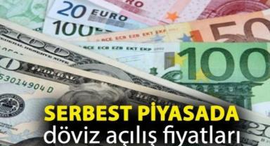 Serbest piyasada döviz açılış fiyatları