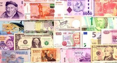 TCMB alım satıma konu olmayan döviz kurları