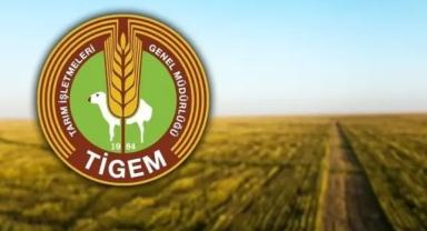 TİGEM 69 ziraat mühendisi istihdam edecek