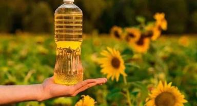 Trakya Birlik 2024 üretim sezonunda 240 bin ton ayçiçeği alımı gerçekleştirdi