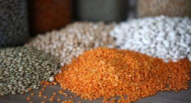 Türkiye'den geçen yıl 11,9 milyar dolarlık hububat ve bakliyat ihracatı yapıldı