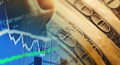 Yatırımcı rehberi (1)