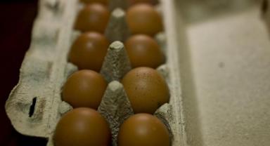 ABD'deki kuş gribi krizi Türk yumurtasına talebi artırdı