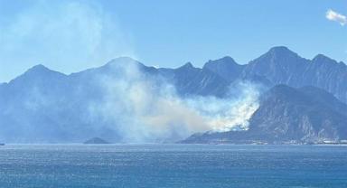 Antalya'da ormanlık alanda çıkan yangına müdahale ediliyor