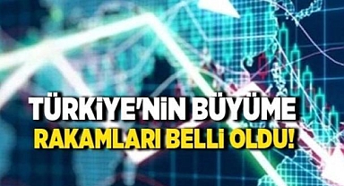 Büyüme rakamları açıklandı (2) 
