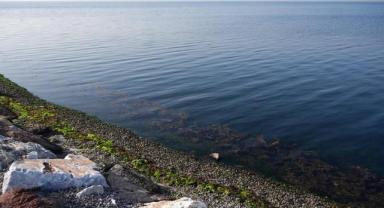 Ege Denizi'nde 26 Ocak'tan bu yana 754 deprem meydana geldi