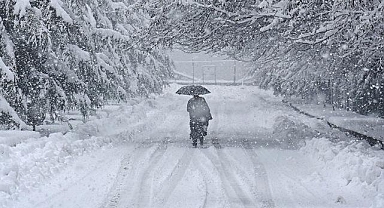 Japonya'nın kuzeyine rekor seviyede kar yağdı