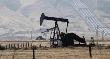 OPEC'in ham petrol üretimi ocakta günlük 121 bin varil düştü