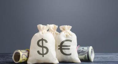 Piyasalarda gün sonu 14-02-2025