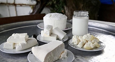 Süt üretimindeki artışın sektördeki yeni yatırımları teşvik etmesi bekleniyor