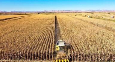 Tarımsal girdi fiyat endeksi Aralık 2024'te yıllık bazda yüzde 32,49, aylık yüzde 2,13 arttı