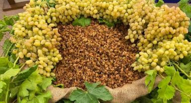 Türk kuru meyveleri Hint sofralarını süsleyecek