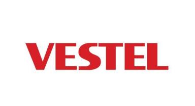 Vestel, Standarda Esas Patent'ten lisans geliri elde etti