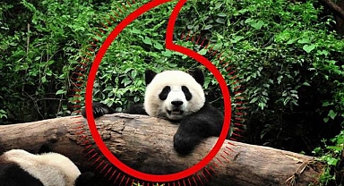 Vodafone 500 binden fazla e-atık telefon toplayarak WWF'ye destek oldu