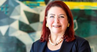 Arnica Yönetim Kurulu Başkanı Biçer: 