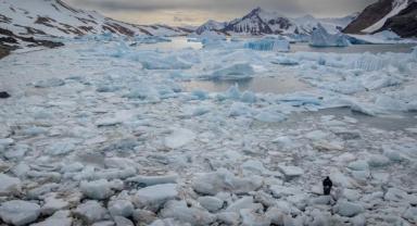 Çinli araştırmacılar, Antarktika'da 6 yeni bakteri cinsi keşfetti
