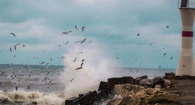 Doğu Karadeniz'in doğusu için fırtına uyarısı