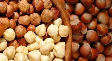 Giresun'da fındığın kilogramı 137-142 lira arasında işlem gördü