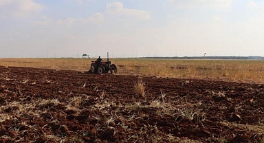 Şanlıurfa'daki kuraklık hububat verimini tehdit ediyor