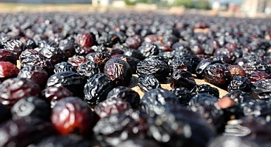 Tarım sigortalarında geçen yıl en fazla hasar ödemesi kurutmalık üzüme yapıldı