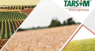 TARSİM heyeti, Kazakistan Tarım Bakanlığı temsilcileriyle bir araya geldi