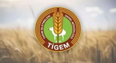 TİGEM 24 bin kilogram koyun sütü satacak