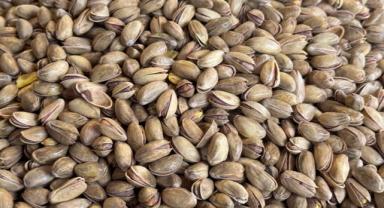 Almanya'nın ihracatı şubatta ABD’ye tarife öncesi satışlarla arttı