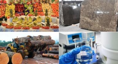 Batı Akdeniz'den yılın ilk çeyreğinde 708 milyon 115 bin dolar ihracat yapıldı