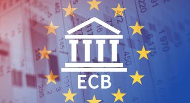 ECB yönetim kurulu üyesinden 